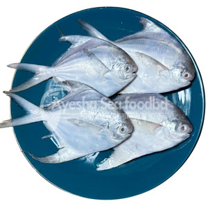 রূপচাঁদা সিলভার ১০ পিস ১ কেজি